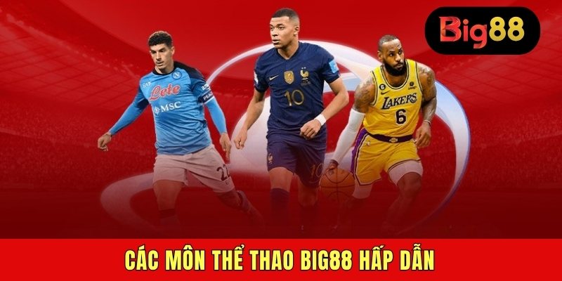 Các môn thể thao BIG88 hấp dẫn