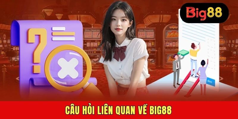 Câu hỏi liên quan về BIG88