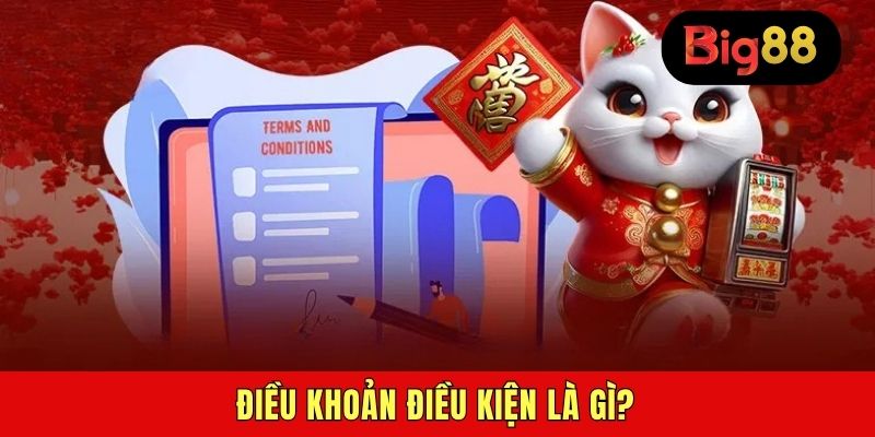 Điều khoản điều kiện là gì?