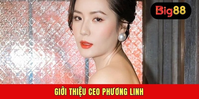 Giới thiệu CEO Phương Linh