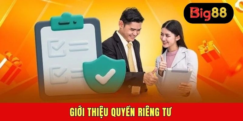 Giới thiệu quyền riêng tư