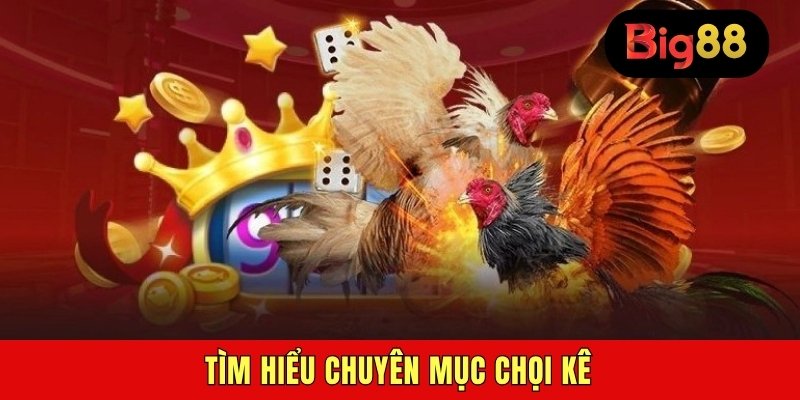 Tìm hiểu chuyên mục chọi kê