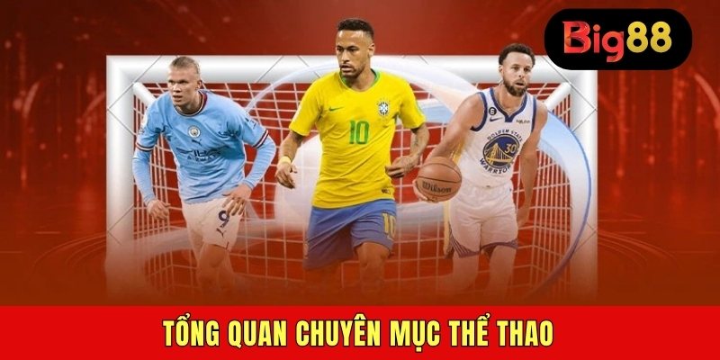 Tổng quan chuyên mục thể thao